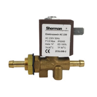 Клапан электромагнитный AC230V 50Hz, 0.8Mpa, 100012954, Sherman-profi Изображение